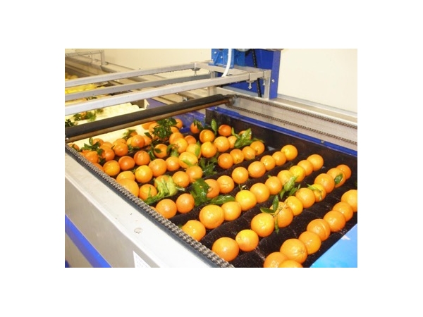 Why Choose Nylon Brush Roller For Fruit And Vegetable Cleaning?