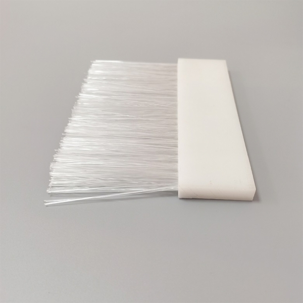 bristle brush strip
