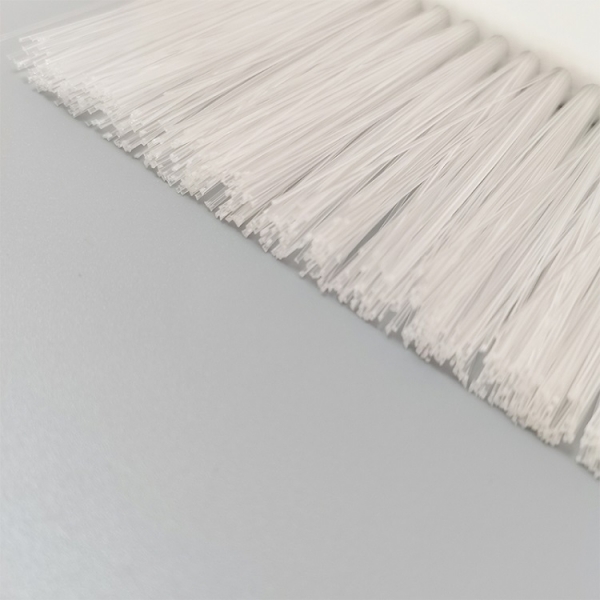 bristle brush strip