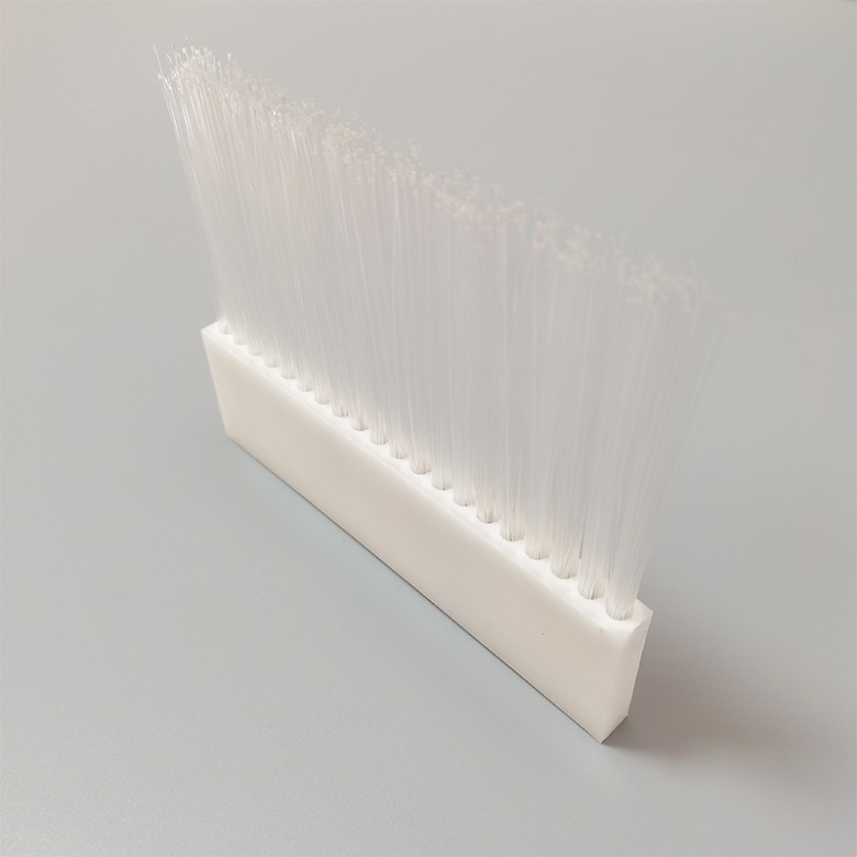 bristle brush strip